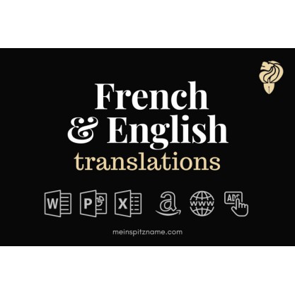 provide french business and marketing translations